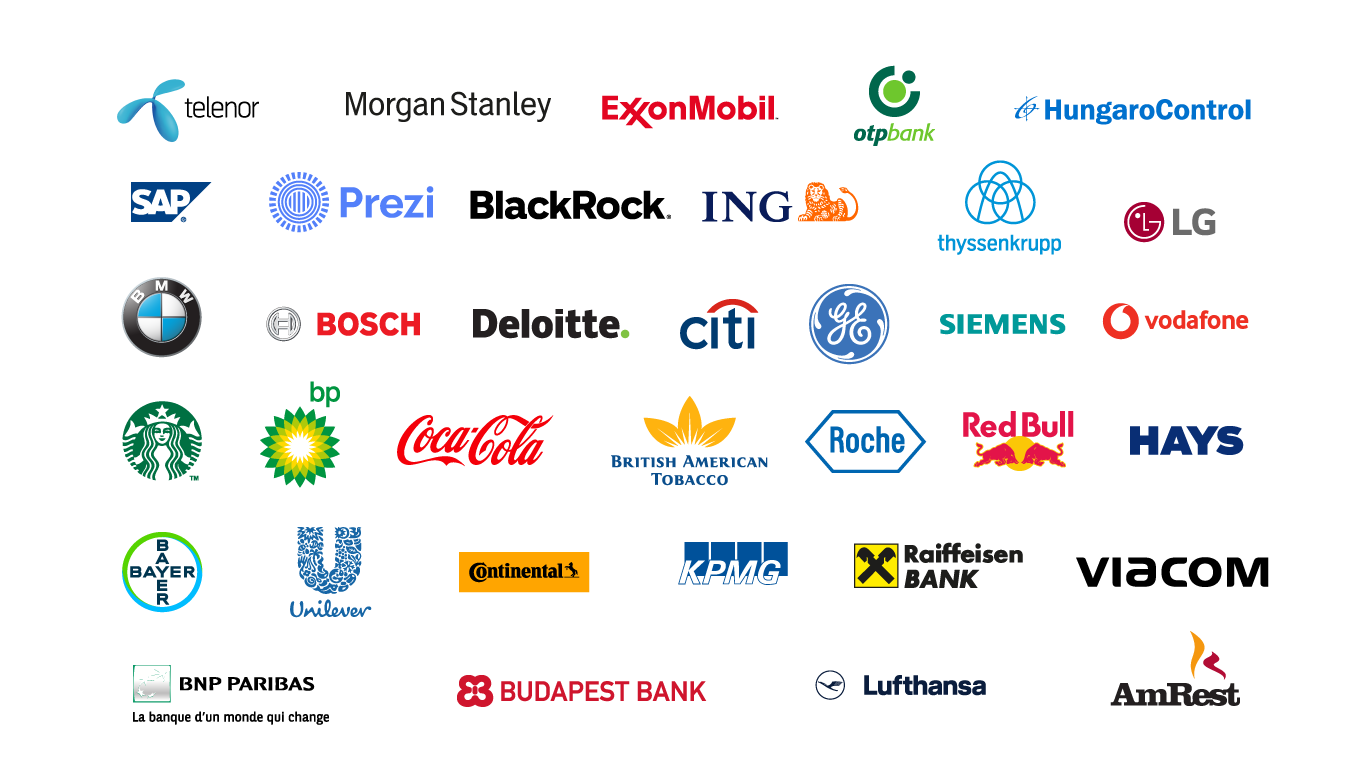 zyntern partner logok