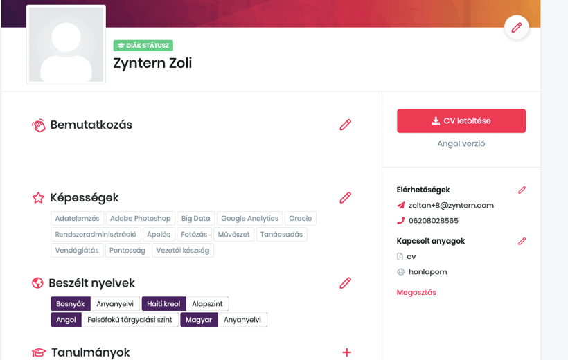 zyntern karrierprofil
